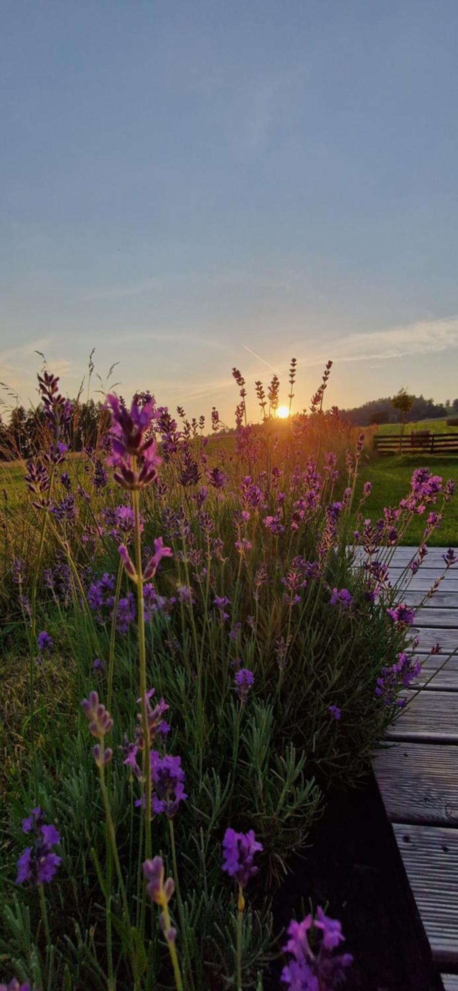 Przystan Nad Listepka Domek Nowoczesna Stodola Z Widokiem Na Tatry, Gorce I Pieniny Łopuszna Exteriör bild